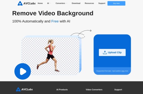Remove Video Background 100% Automatically with AI
