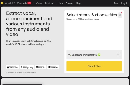 Vocal Remover & Instrumental AI Splitter